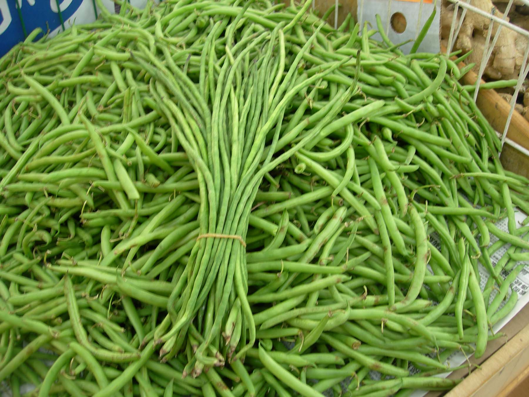 Long Beans Are Twins,Furniture Arrangement Ideas For Long Living Rooms
